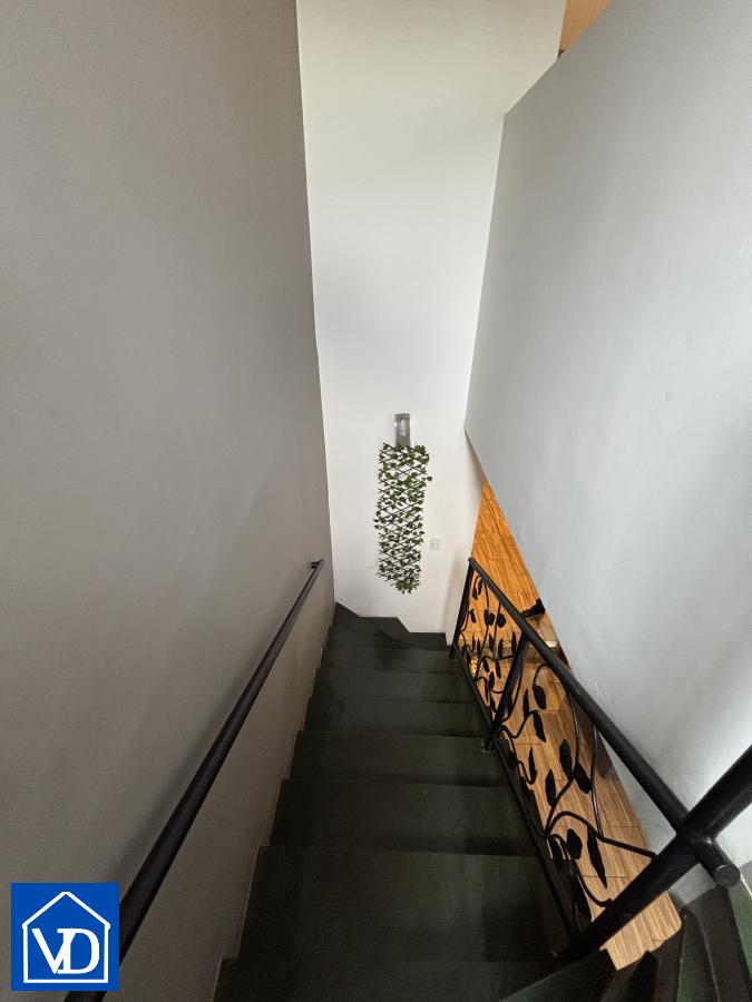 Casa, 4 quartos, 260 m² - Foto 24