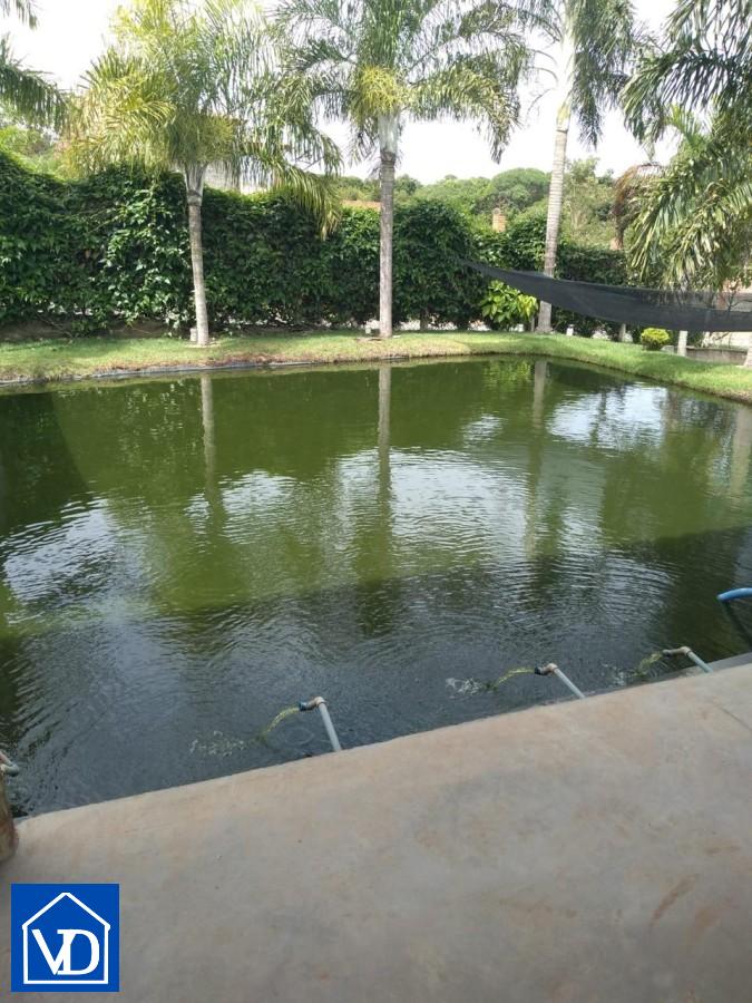 Chácara, 7 quartos, 2000 m² - Foto 23